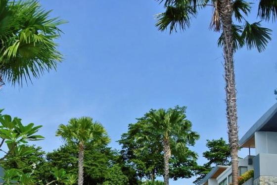 Atika Villas Patong Exterior photo